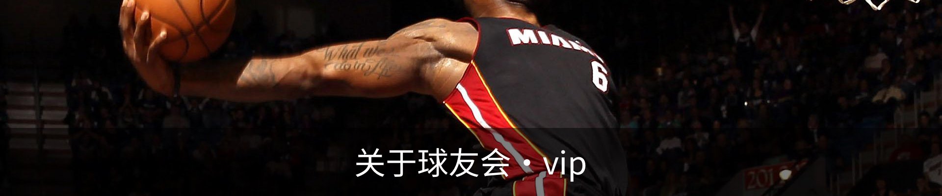 关于球友会·vip